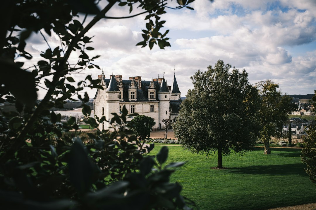 Vale do Loire: castelos, vinhos e hospedagem de luxo na França